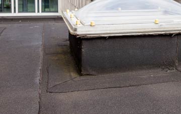 disadvantages of Nether Burrow flat roofs